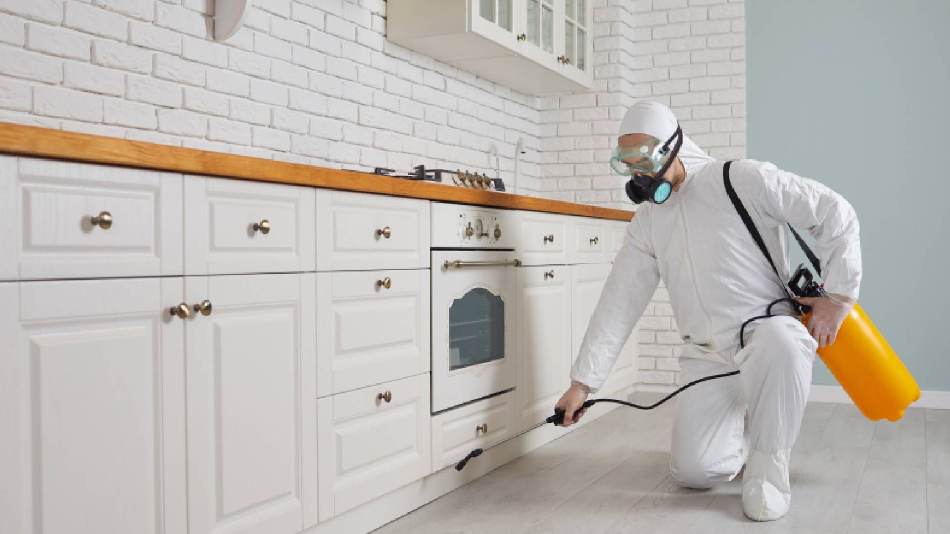 A pest control specialist spraying a kitchen for mosquitos near Lexington, Kentucky (KY)