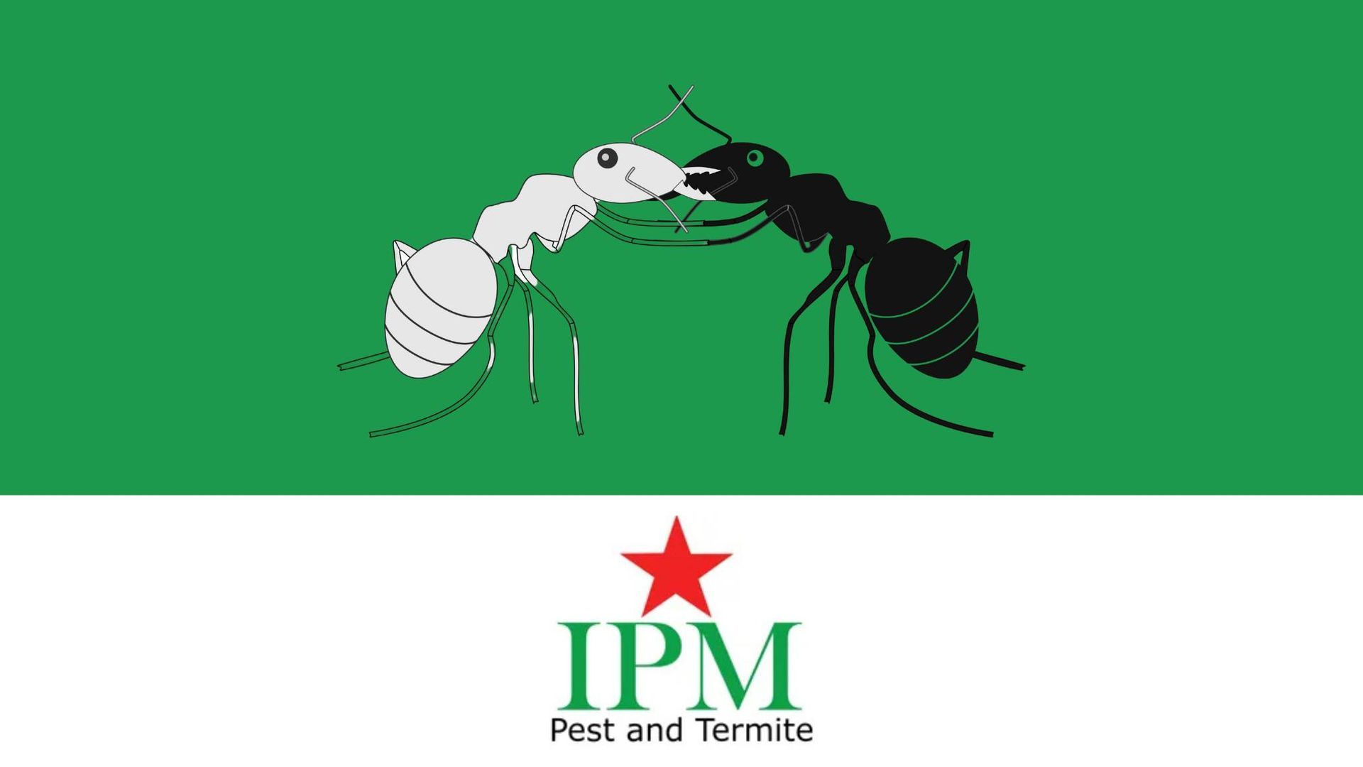 Ants killing ants on a green background with IPM Pest & Termite logo at IPM Pest and Termite near Le