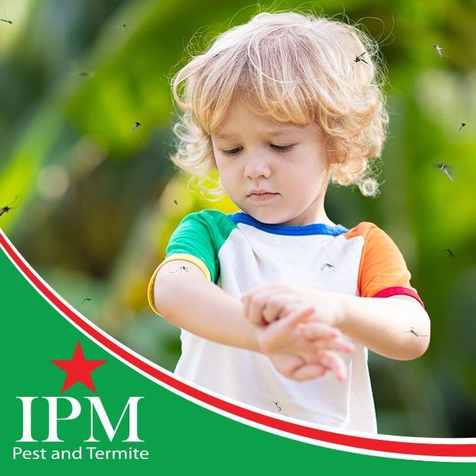 IPM Pest and Termite Logo Over A Child Swarmed by Mosquitos