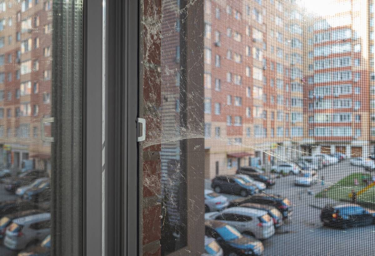 Spider web outside city apartment window near Lexington and Louisville, Kentucky.