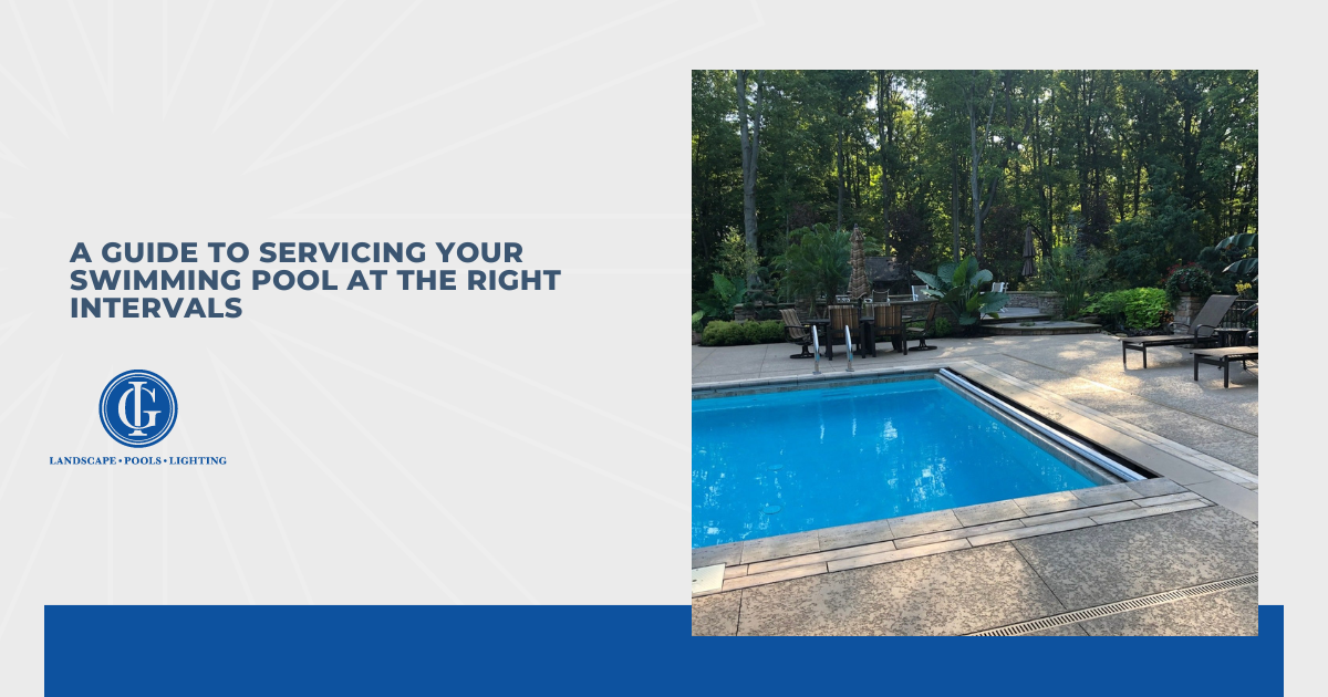 A Guide to Servicing Your Swimming Pool at the Right Intervals