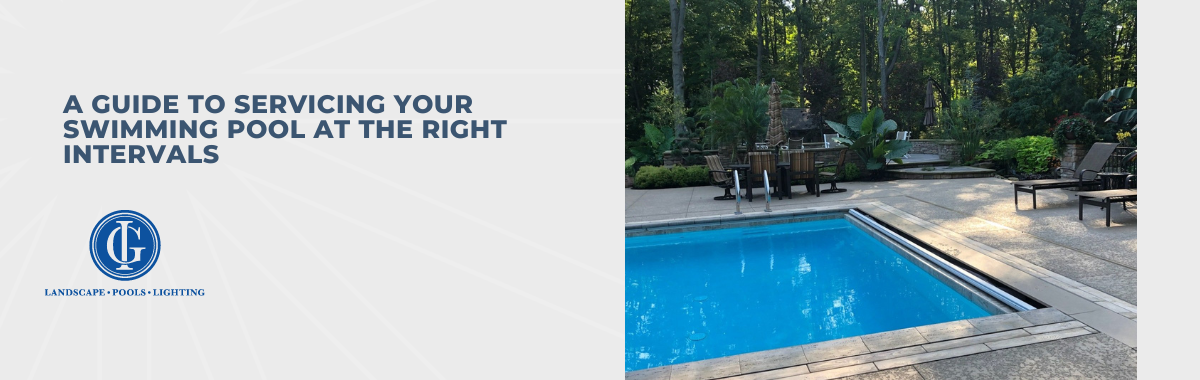 A Guide to Servicing Your Swimming Pool at the Right Intervals