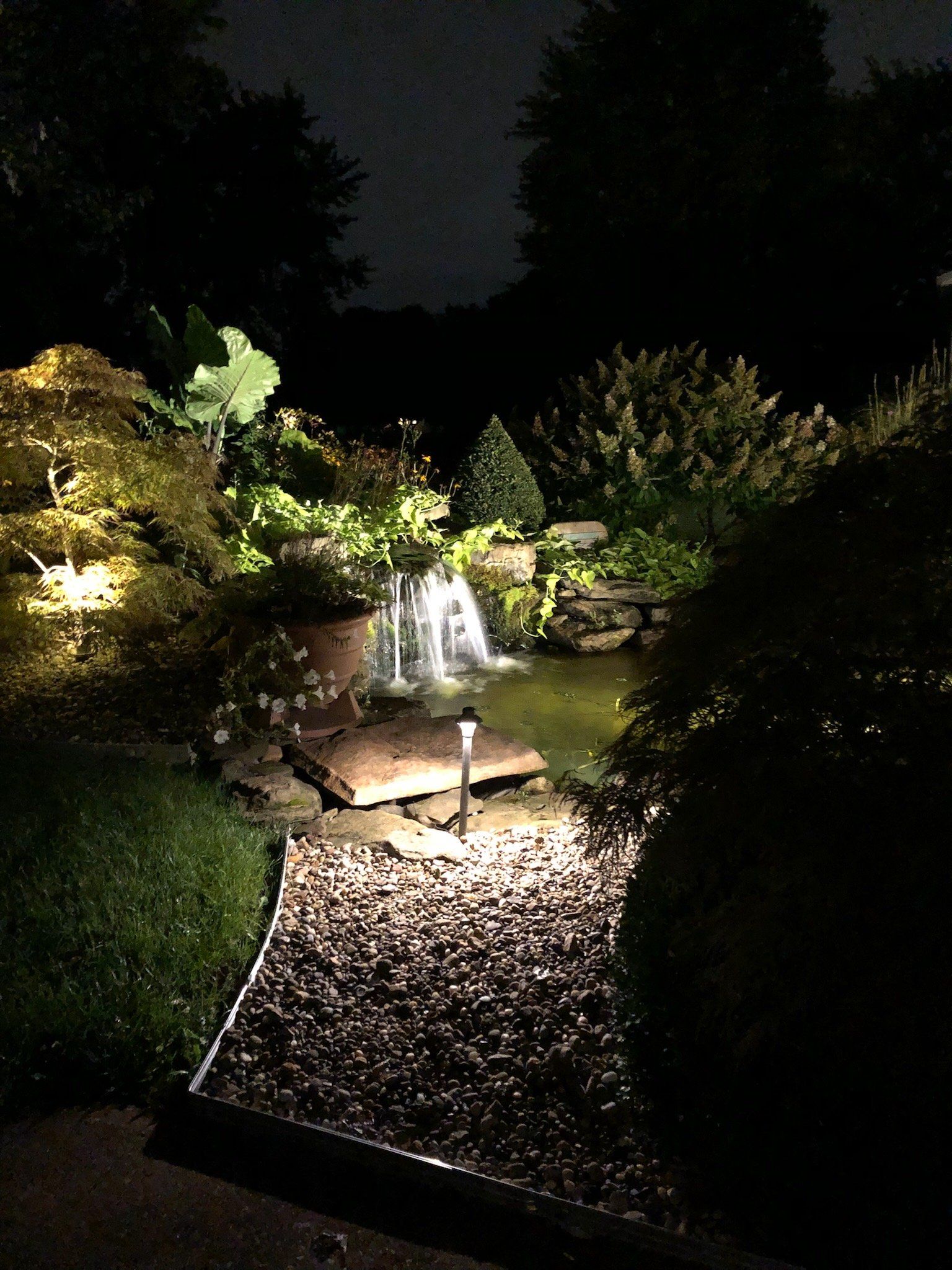A waterfall in a garden is lit up at night.