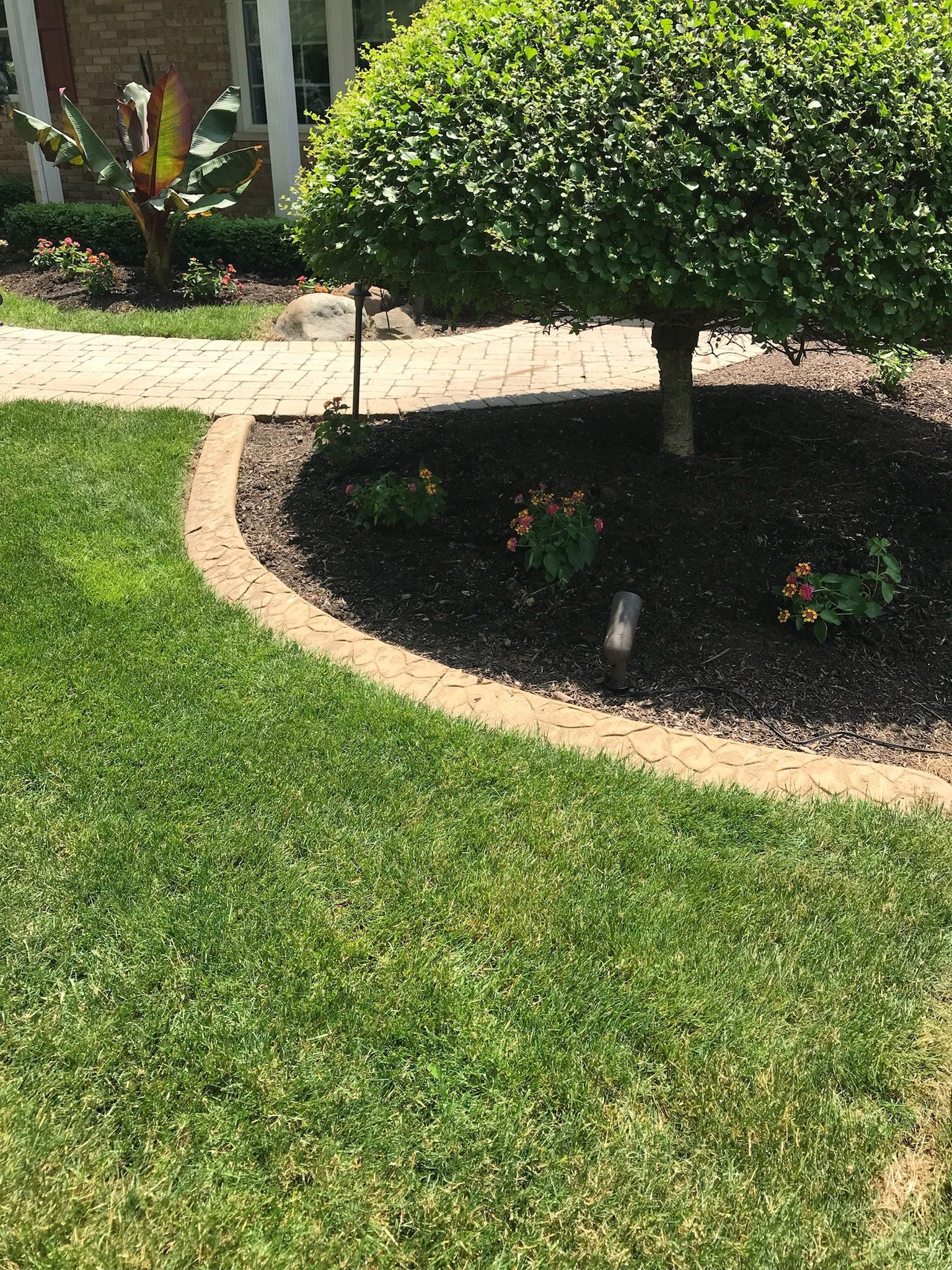 A lush green lawn with a tree in the middle of it.