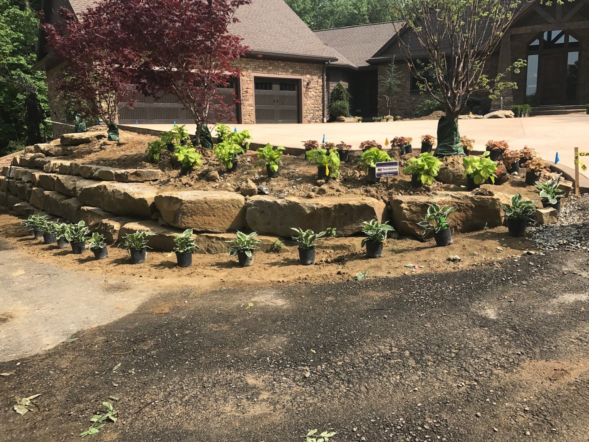 A house with a lot of potted plants in front of it