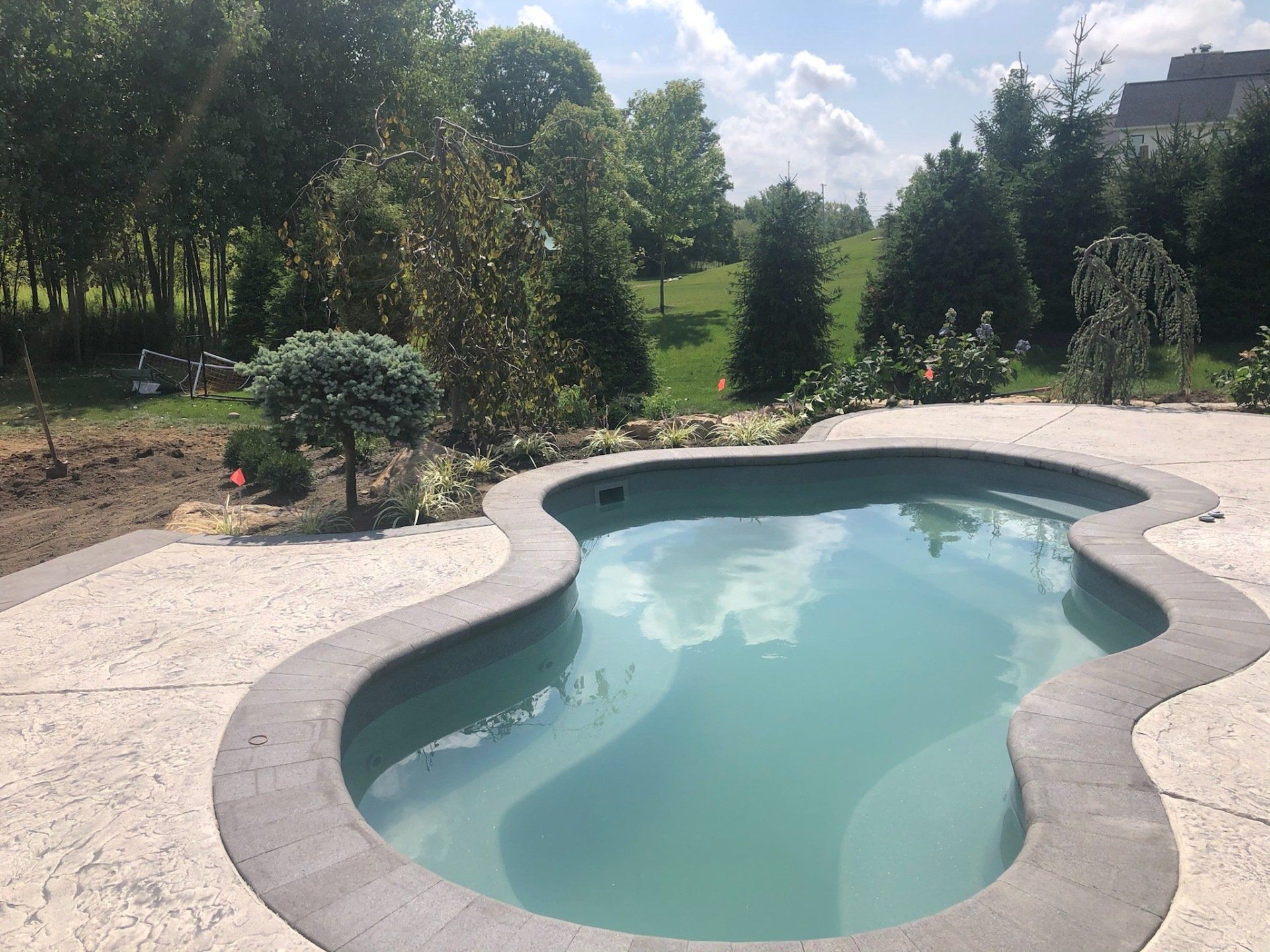 A large swimming pool surrounded by trees on a sunny day