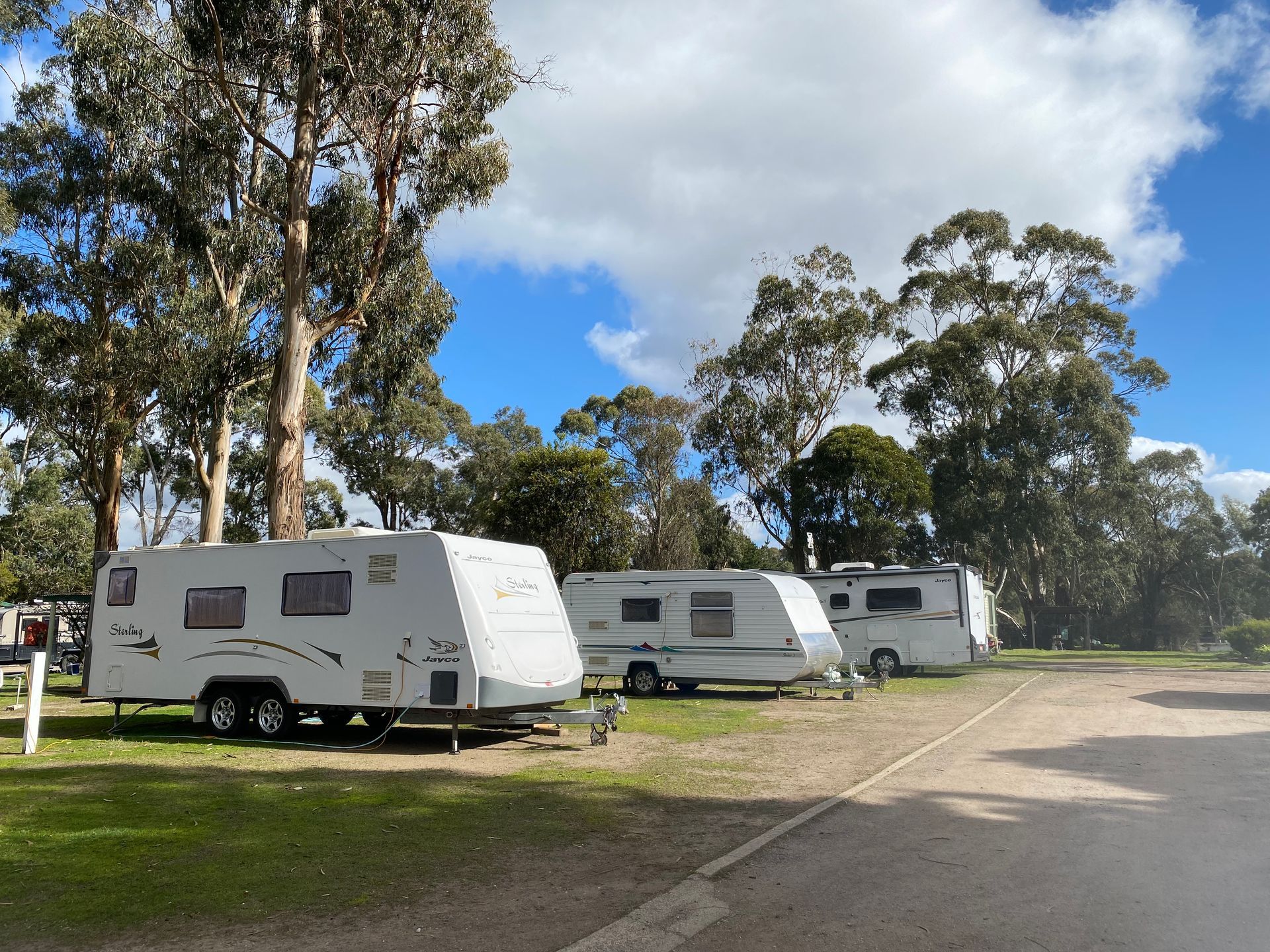 A row of caravans parked in a grassy area with trees in the background.