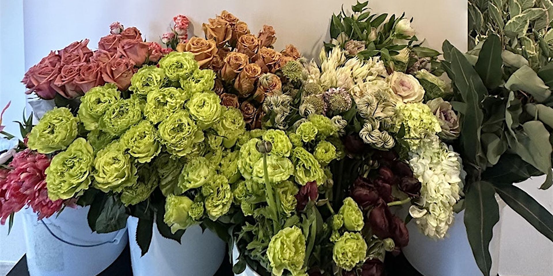 A poster for dc 's favorite guitar jazz band