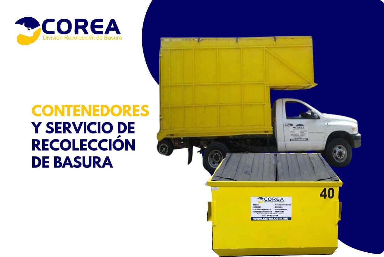 COREA RECOLECTORA – RECOLECCION-COREA