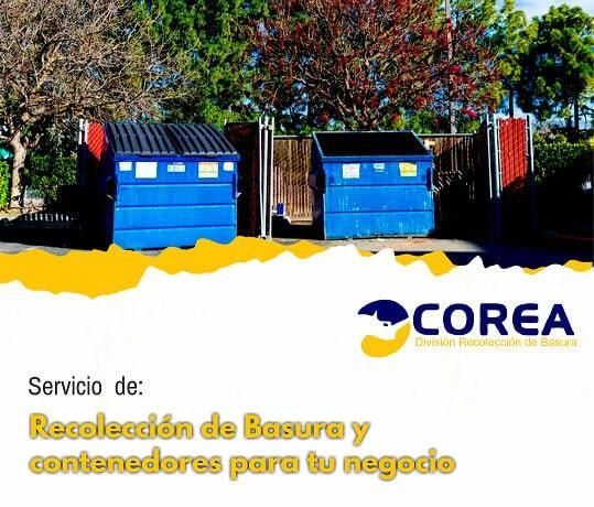 COREA RECOLECTORA – RECOLECCION-BASURA