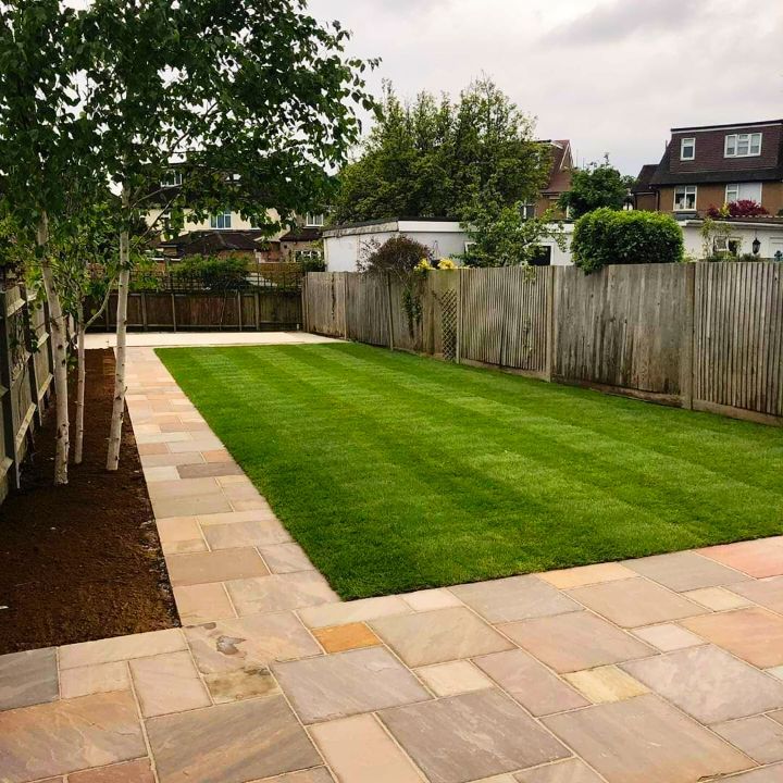 A lush green lawn with a wooden fence in the background