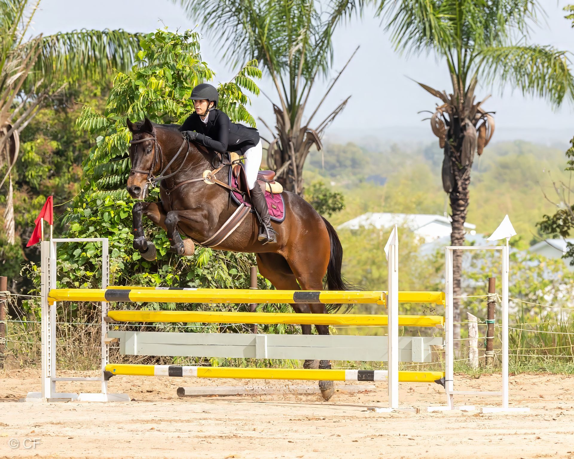 Rider & Horse Jumping