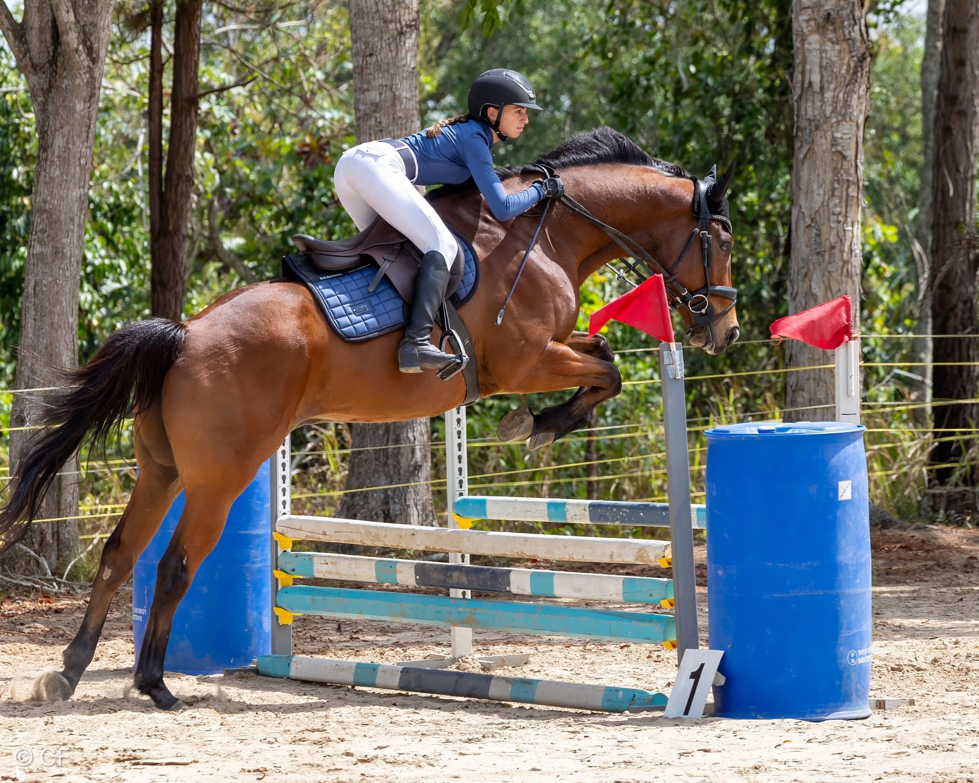 a young girl is riding a black horse
