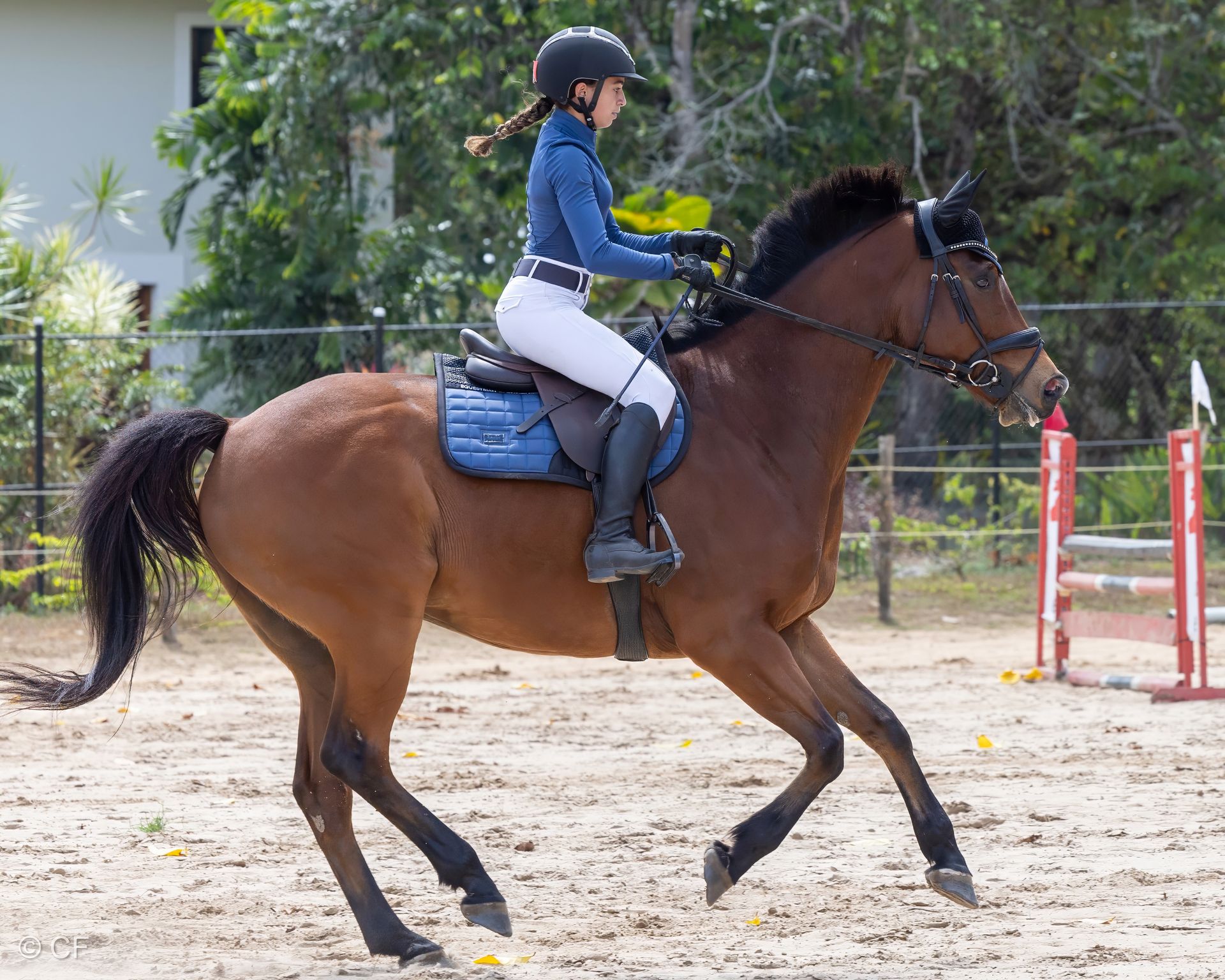 a person riding a brown horse