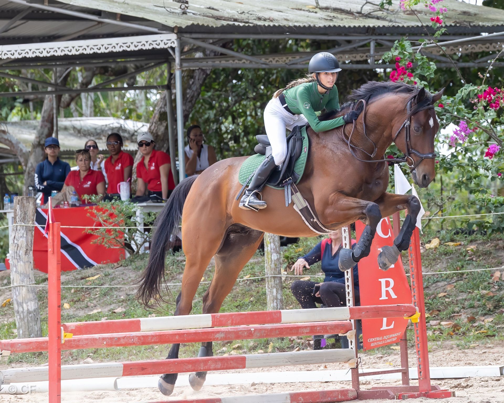 Justynne, Jaimie with Capers & Louvre