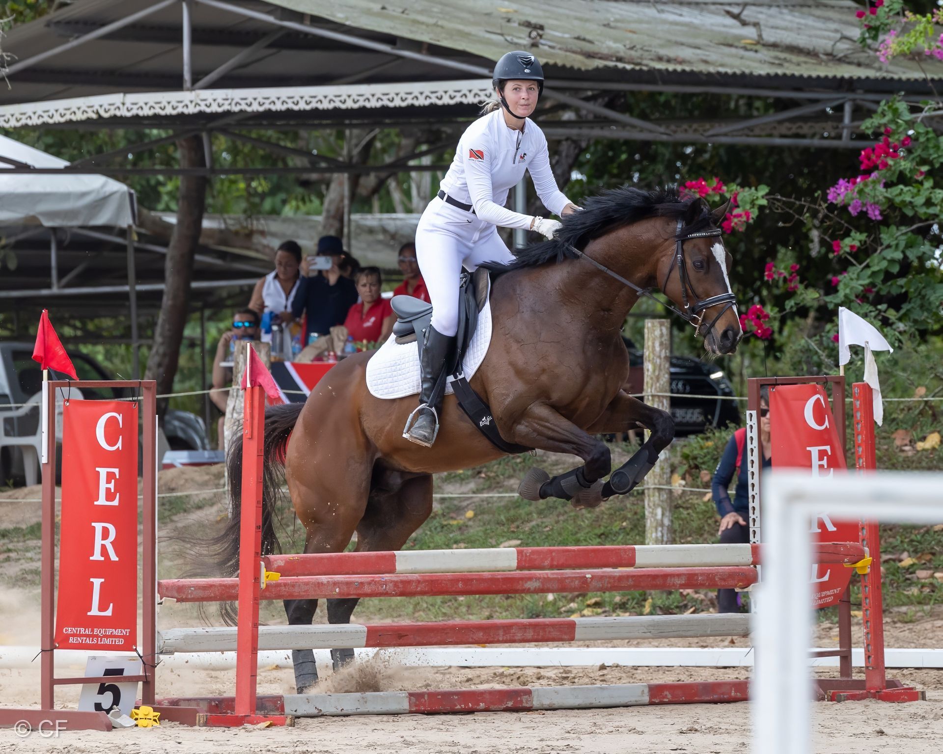 a young person riding a horse with a blue saddle pad