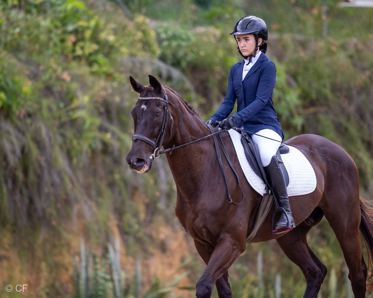 Justynne, Jaimie with Capers & Louvre