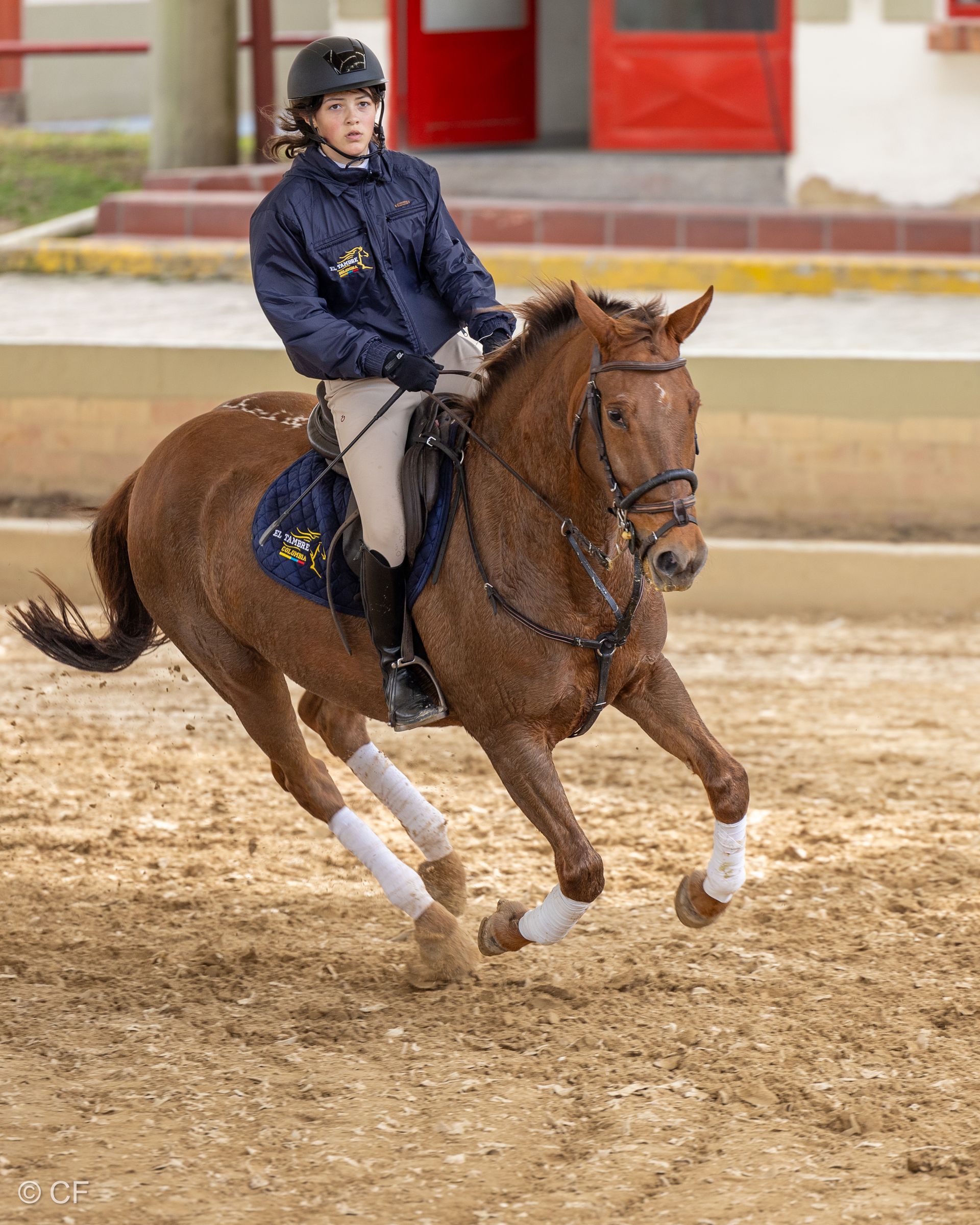 a person riding a brown horse
