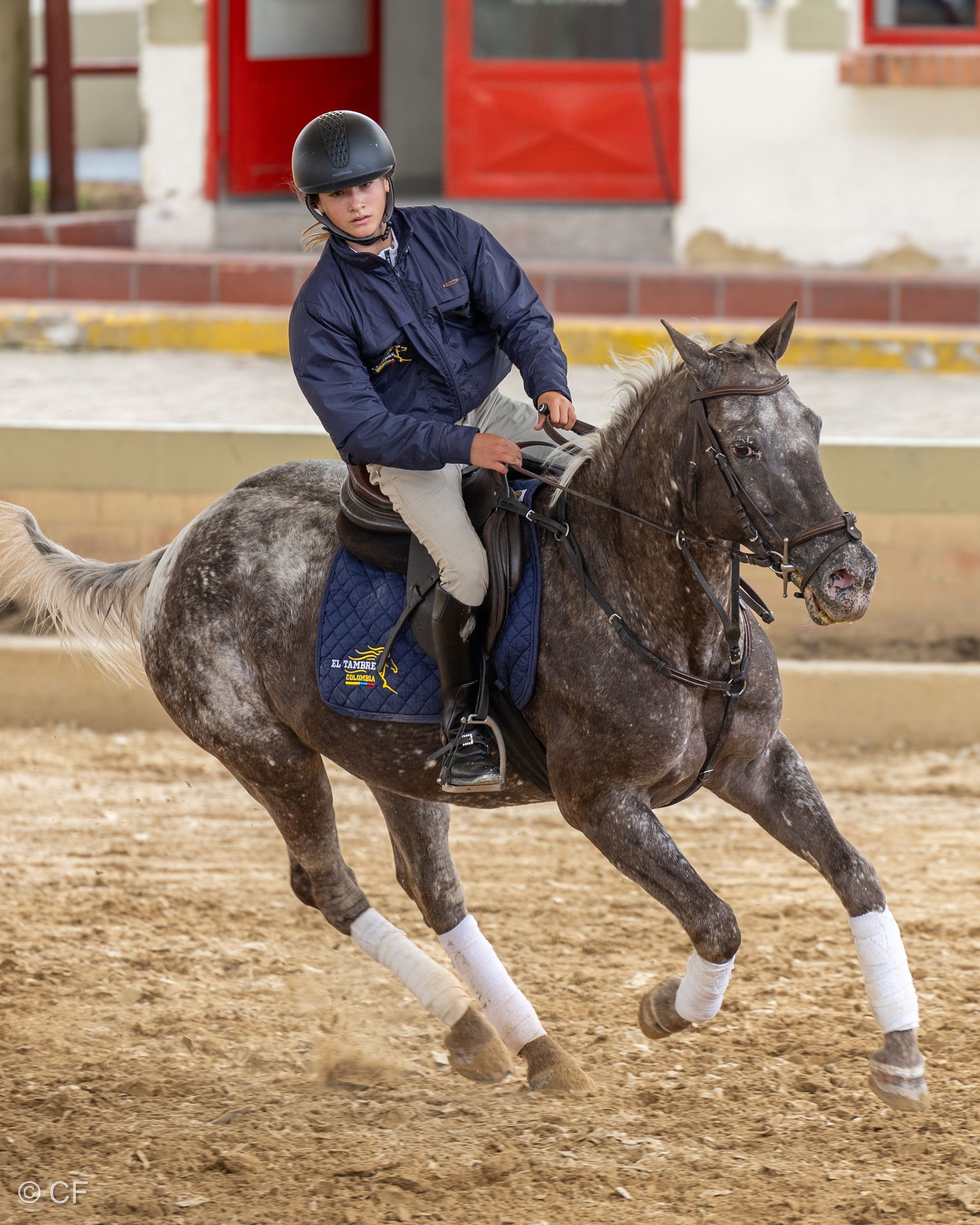a young person riding a horse with a blue saddle pad
