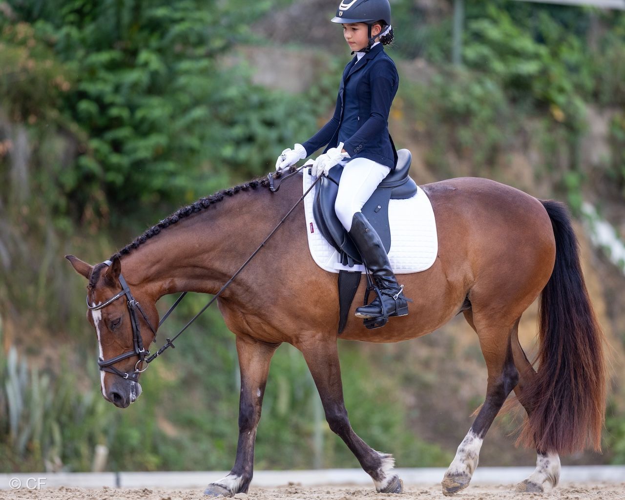 a person riding a brown horse