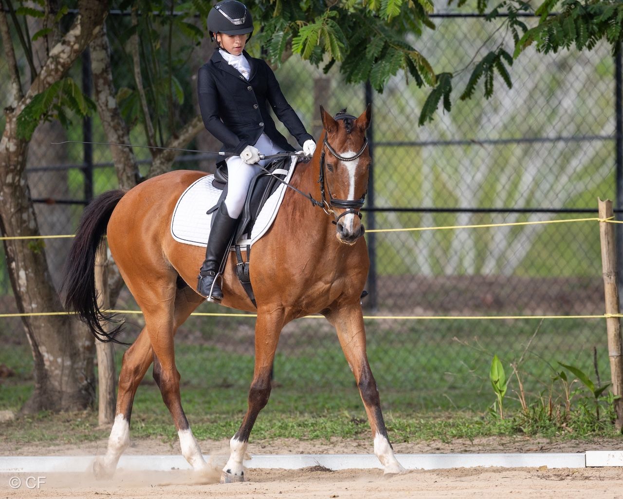 a young person riding a horse with a blue saddle pad