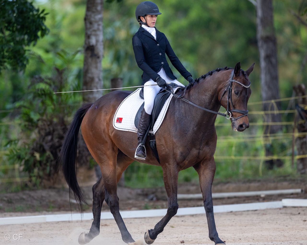 a young girl is riding a black horse