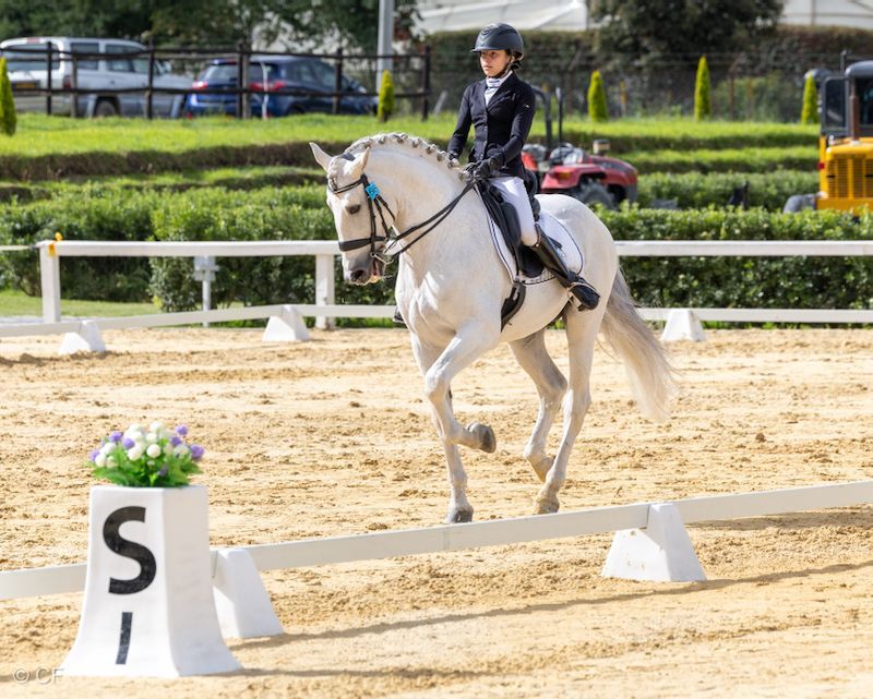 A woman is riding a white horse in a ring.