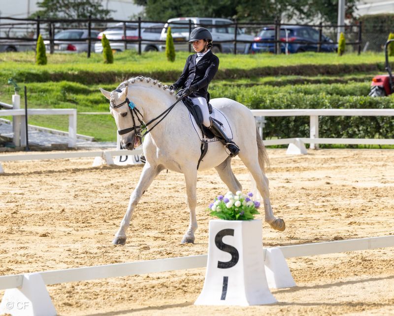 A young girl is riding a white horse in a ring.
