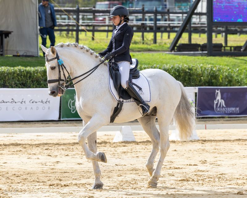 A woman is riding a white horse on a dirt track.
