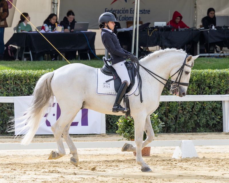 A woman is riding a white horse in a ring