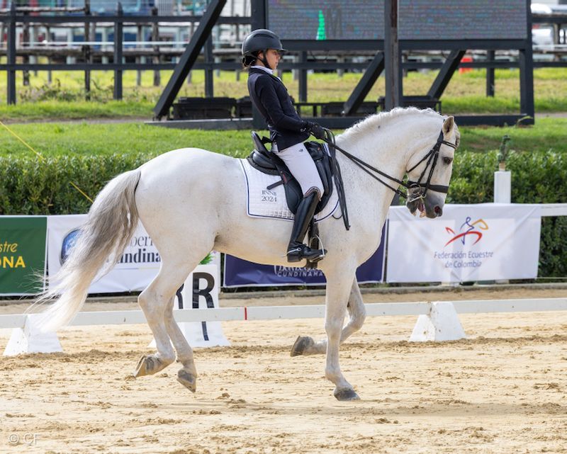 A woman is riding a white horse on a dirt track.