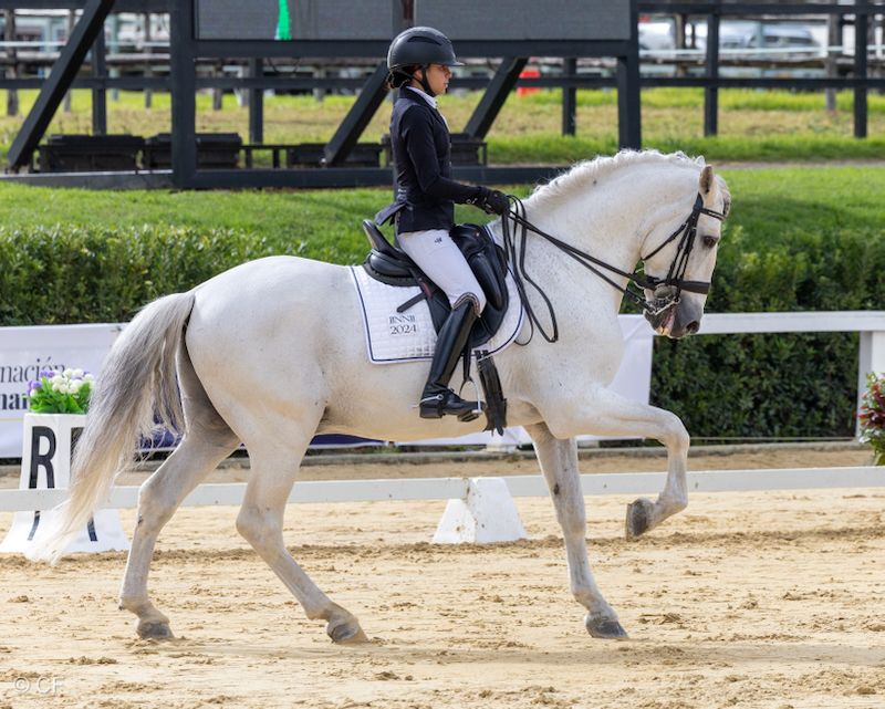 A woman is riding a white horse on a dirt track.
