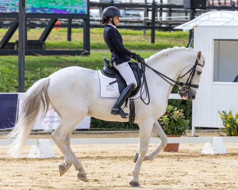 A woman is riding a white horse in a ring.