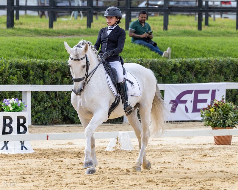 A woman is riding a white horse in a ring.