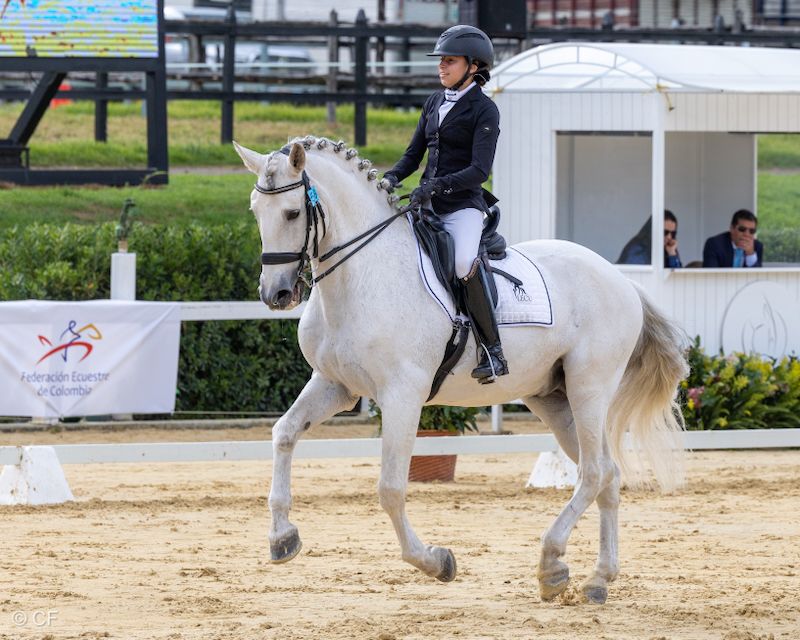 A woman is riding a white horse in a ring.