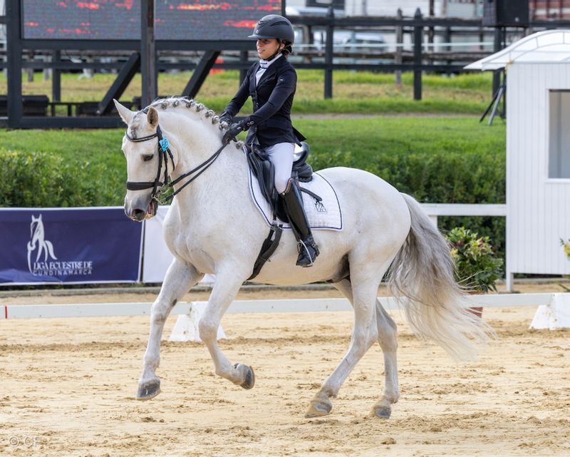A woman is riding a white horse in a ring.