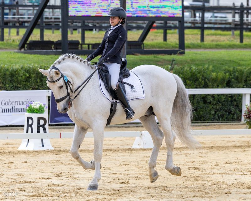 A woman is riding a white horse on a dirt track.