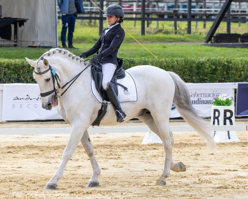 A woman is riding a white horse on a dirt track.