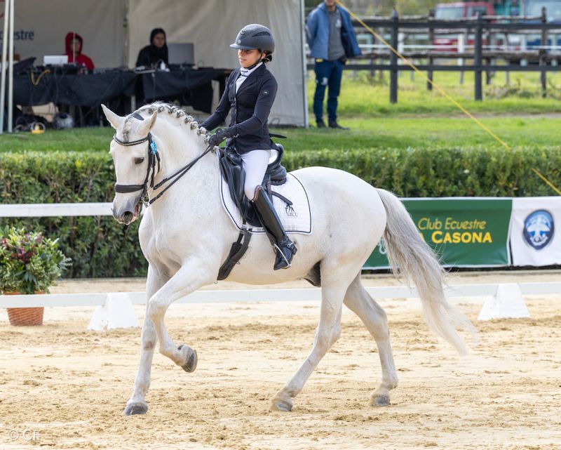 A woman is riding a white horse in a ring.