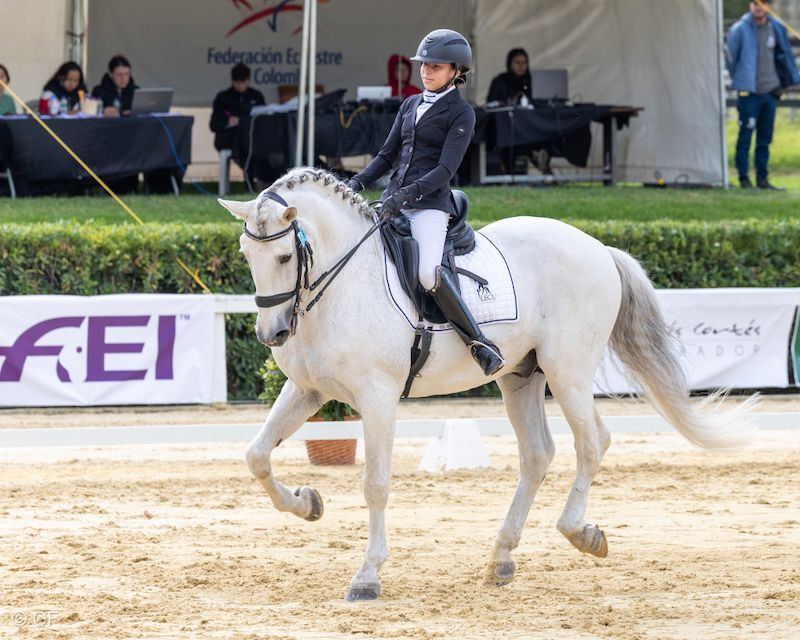 A woman is riding a white horse in front of a sign that says fei