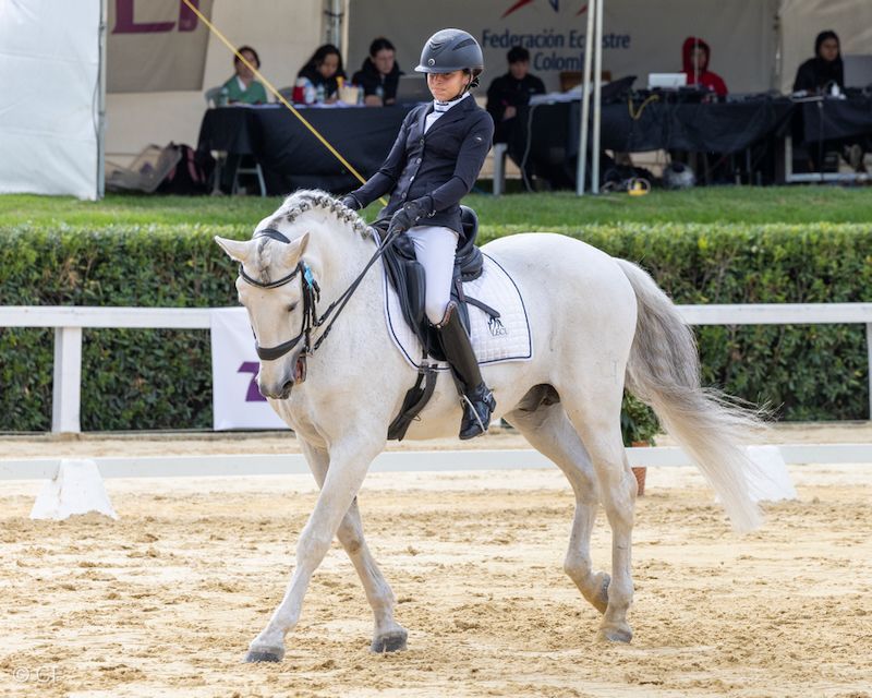A woman is riding a white horse in a ring.