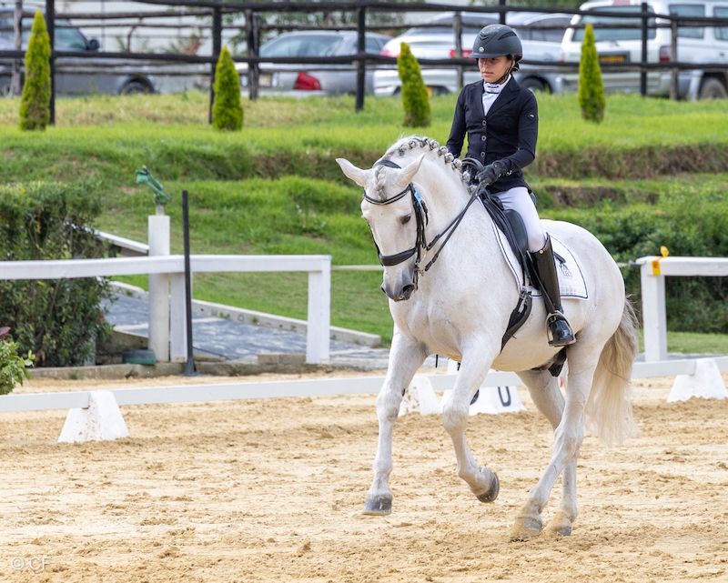 A woman is riding a white horse in a ring.