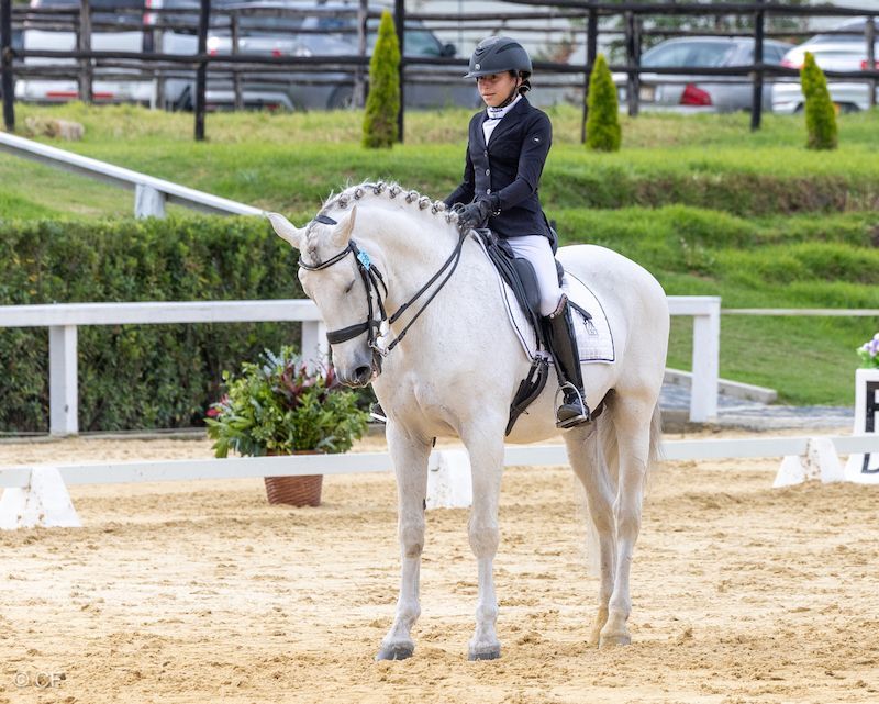 A woman is riding a white horse in a dirt arena.