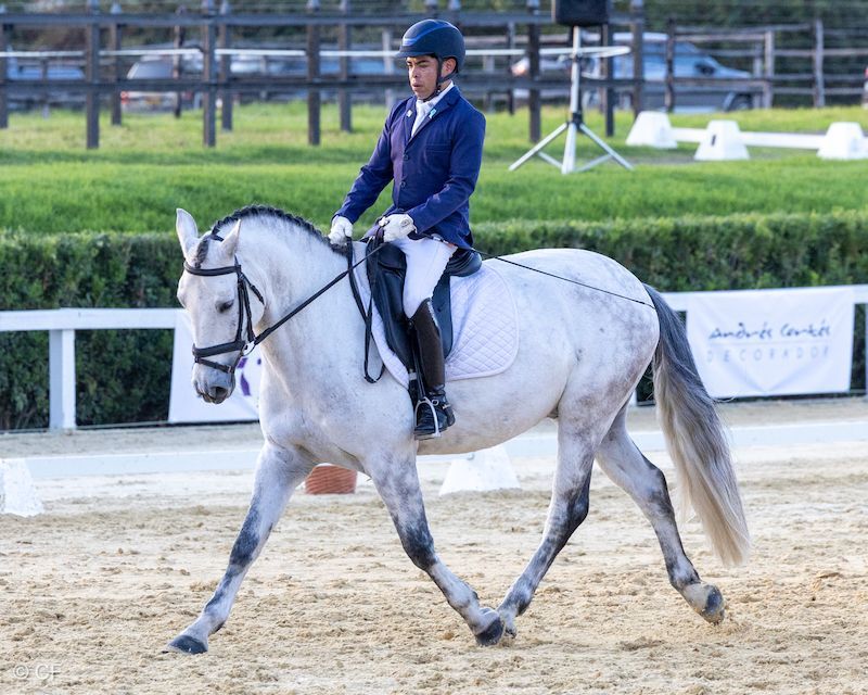 A man in a blue jacket is riding a white horse