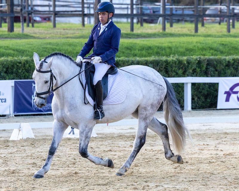 A man in a blue jacket is riding a white horse