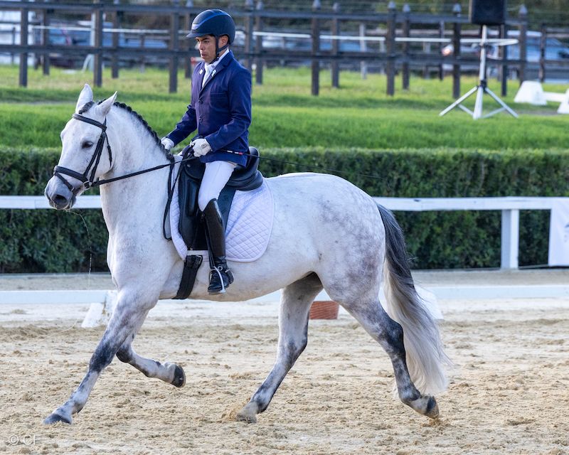 A man is riding a white horse in a ring.