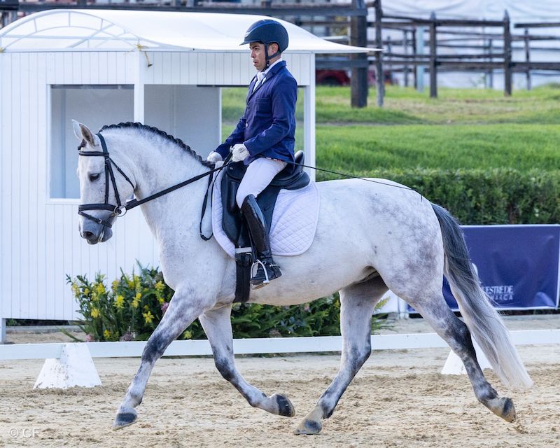 A man is riding on the back of a gray horse.