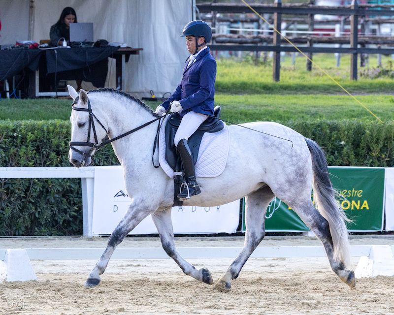 A woman is riding a gray horse in a ring.