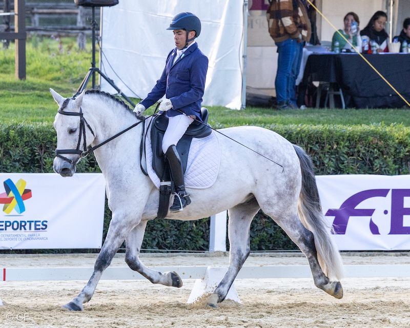 A man is riding on the back of a gray horse.