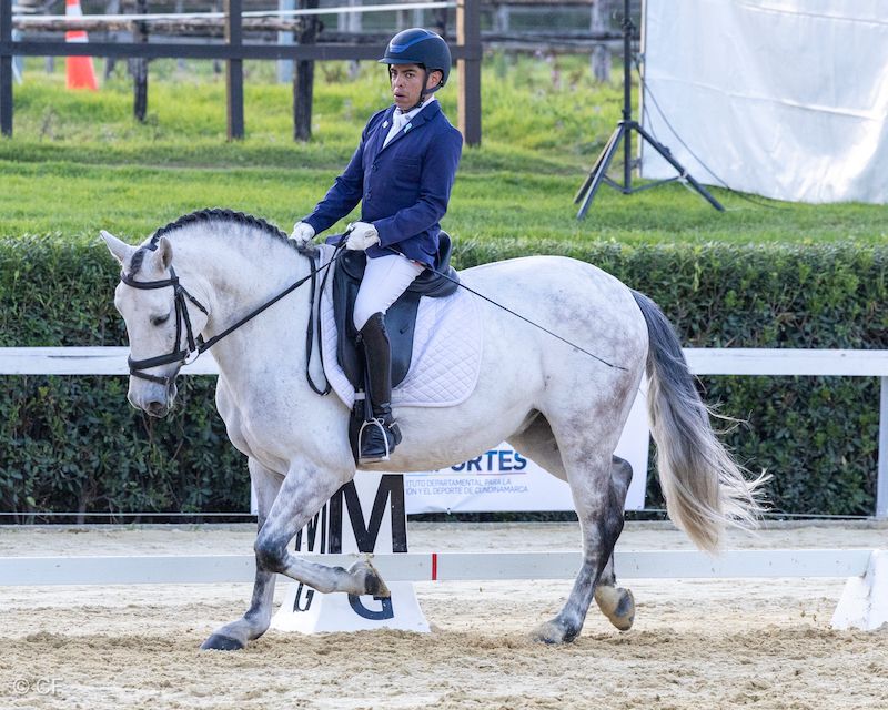 A man is riding a white horse in a ring.